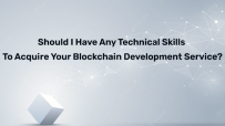 Should I have any technical skills to acquire your blockchain development service?