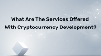 What are the services offered with cryptocurrency development?
