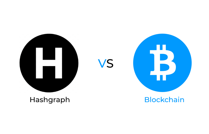 hedera vs blockchain